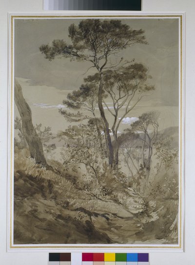 Steinkiefern in Sestri, Golf von Genua, 30. April 1845 von John Ruskin